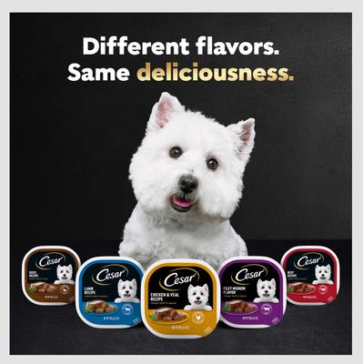 Show full view: Cesar Classic Loaf in Sauce Top Sirloin Flavor Small Breed Adult Wet Dog Food Trays, 3.5-oz, case of 24 slide 9 of 12