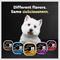 Show in main carousel: Cesar Classic Loaf in Sauce Top Sirloin & Grilled Chicken Flavors Variety Pack Grain-Free Small Breed Adult Wet Dog Food Trays, 3.5-oz, case of 12 slide 9 of 12