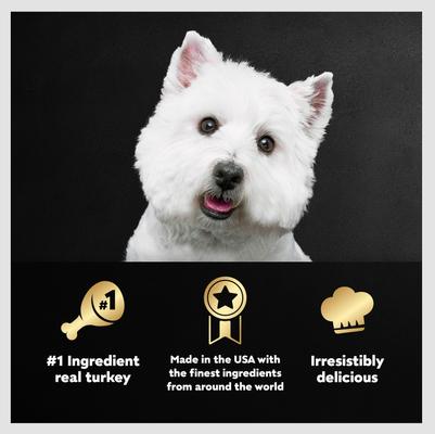 Show full view: Cesar Classic Loaf in Sauce Turkey Recipe Grain-Free Small Breed Adult Wet Dog Food, 3.5-oz, case of 24 slide 6 of 12