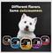 Show in main carousel: Cesar Classic Loaf in Sauce Turkey Recipe Grain-Free Small Breed Adult Wet Dog Food, 3.5-oz, case of 24 slide 9 of 12