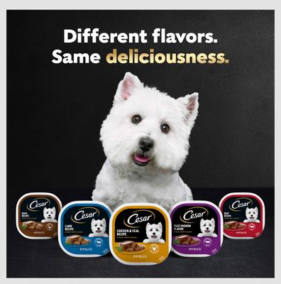 Show full view: Cesar Classic Loaf in Sauce Turkey Recipe Grain-Free Small Breed Adult Wet Dog Food, 3.5-oz, case of 24 slide 9 of 12