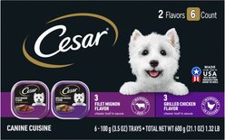 Cesar Classic Loaf in Sauce Variety Pack Adult Filet Mignon & Grilled Chicken Wet Dog Food Trays, 3.5-oz, 6 count