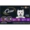 Show in main carousel: Cesar Classic Loaf in Sauce Variety Pack Adult Filet Mignon & Grilled Chicken Wet Dog Food Trays, 3.5-oz, 6 count slide 1 of 11