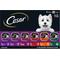 Show in main carousel: Cesar Classic Loaf in Sauce Variety Pack Grain-Free Small Breed Adult Wet Dog Food Trays, 3.5-oz, case of 36 slide 1 of 11