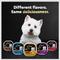 Show in main carousel: Cesar Classic Loaf in Sauce Variety Pack Grain-Free Small Breed Adult Wet Dog Food Trays, 3.5-oz, case of 36 slide 10 of 11