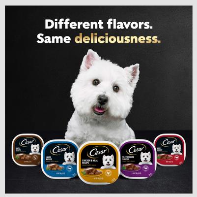 Show full view: Cesar Classic Loaf in Sauce Variety Pack Grain-Free Small Breed Adult Wet Dog Food Trays, 3.5-oz, case of 36 slide 10 of 11