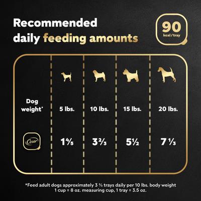 Show full view: Cesar Classics Filet Mignon Flavor in Meaty Juices Small Breed Wet Dog Food, 3.5-oz, case of 24 slide 8 of 9