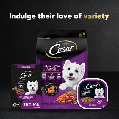 Show full view: Cesar Filet Mignon Flavor Filets in Gravy Wet Dog Food, 1.76-oz pouch, case of 20 slide 10 of 11