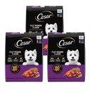 Cesar Filet Mignon Flavor & Spring Vegetables Garnish Small Breed Dry Dog Food, 36-lb bundle