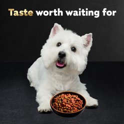 Cesar Filet Mignon Flavor & Spring Vegetables Garnish Small Breed Dry Dog Food, 12-lb bag slide 2 of 9