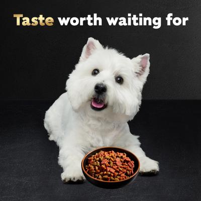 Show full view: Cesar Filet Mignon Flavor & Spring Vegetables Garnish Small Breed Dry Dog Food, 2.7-lb bag slide 9 of 12