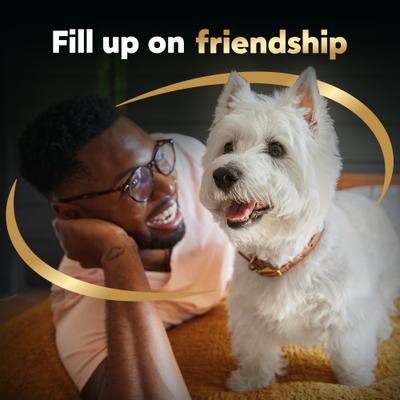 Show full view: Cesar Filet Mignon Flavor & Spring Vegetables Garnish Small Breed Dry Dog Food, 2.7-lb bag slide 10 of 12