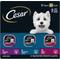 Show in main carousel: Cesar Filets in Gravy Beef Flavors Variety Pack Small Breed Adult Wet Dog Food, 3.5-oz tray, case of 24 slide 1 of 12