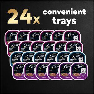 Cesar Filets in Gravy Beef Flavors Variety Pack Small Breed Adult Wet Dog Food, 3.5-oz tray, case of 24