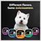 Show in main carousel: Cesar Filets in Gravy Beef Flavors Variety Pack Small Breed Adult Wet Dog Food, 3.5-oz tray, case of 24 slide 10 of 12