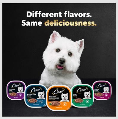 Show full view: Cesar Filets in Gravy Beef Flavors Variety Pack Small Breed Adult Wet Dog Food, 3.5-oz tray, case of 24 slide 10 of 12