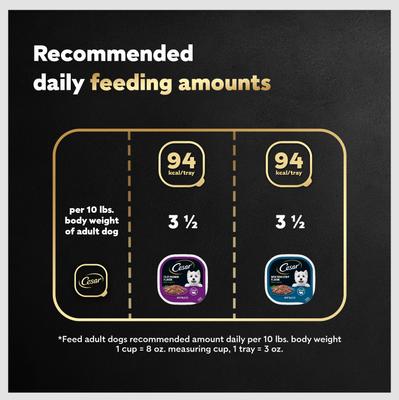 Show full view: Cesar Filets in Gravy Beef Variety Pack Small Breed Adult Wet Dog Food Trays, 3.5-oz, case of 12 slide 8 of 12