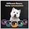 Show in main carousel: Cesar Filets in Gravy Beef Variety Pack Small Breed Adult Wet Dog Food Trays, 3.5-oz, case of 12 slide 10 of 12