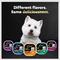 Show in main carousel: Cesar Filets in Gravy Filet Mignon Flavor Small Breed Adult Wet Dog Food, 3.5-oz, case of 24 slide 10 of 12