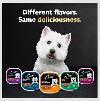 Show full view: Cesar Filets in Gravy Prime Rib Adult Small Breed Wet Dog Food Trays, 3.5-oz, case of 24 slide 10 of 12