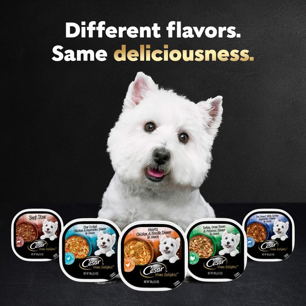 Cesar Home Delights Hearty Chicken & Noodle Dinner in Sauce Wet Dog Food, 3.5-oz tray