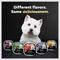 Show in main carousel: Cesar Loaf in Sauce Rotisserie Chicken & Filet Mignon Flavors Variety Pack Grain-Free Small Breed Adult Wet Dog Food Trays, 3.5-oz, case of 12 slide 9 of 12