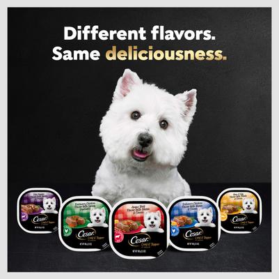 Show full view: Cesar Loaf in Sauce Rotisserie Chicken & Filet Mignon Flavors Variety Pack Grain-Free Small Breed Adult Wet Dog Food Trays, 3.5-oz, case of 12 slide 9 of 12