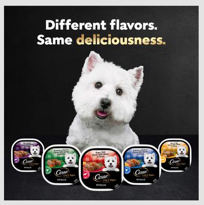 Show full view: Cesar Loaf in Sauce Variety Pack Grain-Free Small Breed Adult Wet Dog Food Trays, 3.5-oz, case of 24 slide 9 of 11