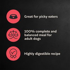 Cesar Porterhouse Flavor & Spring Vegetables Garnish Small Breed Adult Dry Dog Food, 5-lb bag slide 2 of 9
