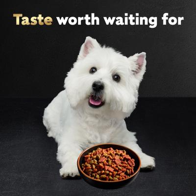 Show full view: Cesar Porterhouse Flavor & Spring Vegetables Garnish Small Breed Adult Dry Dog Food, 5-lb bag slide 9 of 11