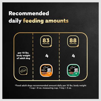 Show full view: Cesar Poultry Lovers Turkey & Chicken Filets in Gravy Variety Pack Small Breed Adult Wet Dog Food Trays, 3.5-oz, case of 12 slide 8 of 12