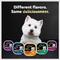 Show in main carousel: Cesar Poultry Lovers Turkey & Chicken Filets in Gravy Variety Pack Small Breed Adult Wet Dog Food Trays, 3.5-oz, case of 12 slide 10 of 12