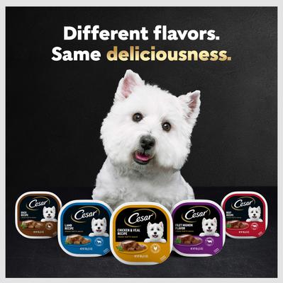 Show full view: Cesar Poultry Variety Pack with Real Chicken, Turkey & Duck Grain-Free Small Breed Adult Wet Dog Food Trays, 3.5-oz, case of 24 slide 9 of 12