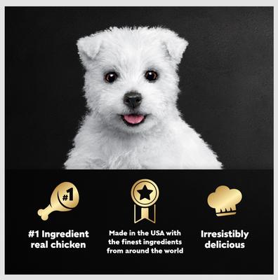 Show full view: Cesar Puppy Classic Loaf in Sauce Chicken & Beef Recipe Small Breed Wet Dog Food Trays, 3.5-oz, case of 24 slide 6 of 12