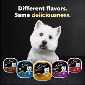 Cesar Puppy Classic Loaf in Sauce Chicken & Beef Recipe Small Breed Wet Dog Food Trays, 3.5-oz, case of 24