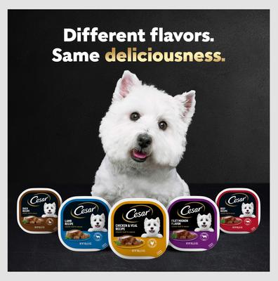 Show full view: Cesar Puppy Classic Loaf in Sauce Chicken & Beef Recipe Small Breed Wet Dog Food Trays, 3.5-oz, case of 24 slide 9 of 12