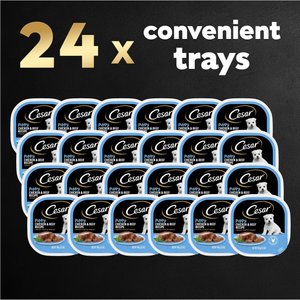 Cesar Puppy Classic Loaf in Sauce Chicken & Beef Recipe Small Breed Wet Dog Food Trays, 3.5-oz, case of 24