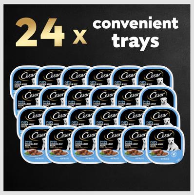 Show full view: Cesar Puppy Classic Loaf in Sauce Chicken & Beef Recipe Small Breed Wet Dog Food Trays, 3.5-oz, case of 24 slide 10 of 12