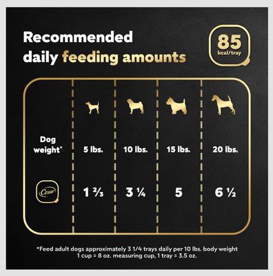 Show full view: Cesar Rotisserie Chicken Flavor Filets in Gravy Small Breed Adult Wet Dog Food Trays, 3.5-oz, case of 24 slide 8 of 12