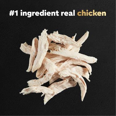 Show full view: Cesar Rotisserie Chicken Flavor Filets in Gravy Wet Dog Food, 1.76-oz pouch, case of 20 slide 5 of 11