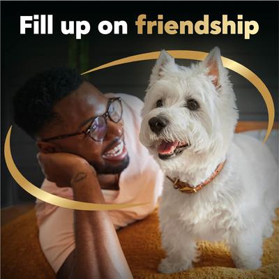 Show full view: Cesar Rotisserie Chicken Flavor Filets in Gravy Wet Dog Food, 1.76-oz pouch, case of 20 slide 9 of 11