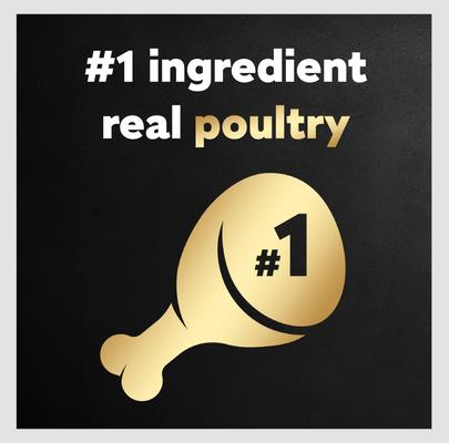 Show full view: Cesar Rotisserie Chicken Flavor & Spring Vegetables Garnish Dry Food + Poultry Lover's Variety Pack Wet Dog Food slide 4 of 10