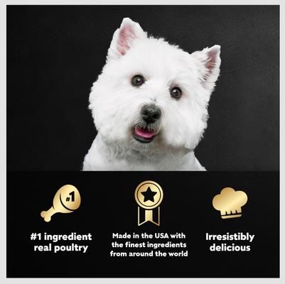 Show full view: Cesar Rotisserie Chicken Flavor & Spring Vegetables Garnish Dry Food + Poultry Lover's Variety Pack Wet Dog Food slide 5 of 10