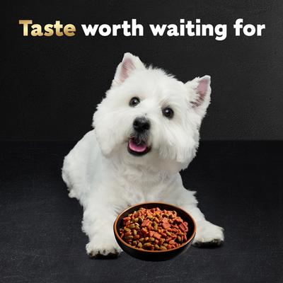 Show full view: Cesar Rotisserie Chicken Flavor & Spring Vegetables Garnish Small Breed Dry Dog Food, 2.7-lb bag slide 9 of 12