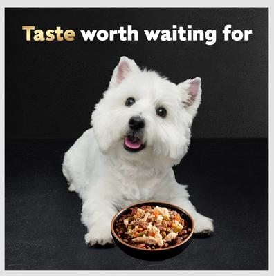 Show full view: Cesar Simply Crafted Chicken, Carrots, Barley & Spinach Limited-Ingredient Adult Wet Dog Food Topper, 1.3-oz, case of 10 slide 5 of 11