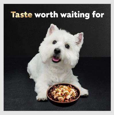 Show full view: Cesar Simply Crafted Chicken, Carrots & Green Beans Limited-Ingredient Wet Dog Food Topper, 1.3-oz, case of 10 slide 5 of 11