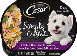 Cesar Simply Crafted Chicken, Duck, Purple Potatoes, Pumpkin, Green Beans & Brown Rice Adult Wet Dog Food Meal Topper, 1.3-oz tray, case of 10