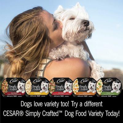 Show full view: Cesar Simply Crafted Chicken, Sweet Potato, Apple, Barley & Spinach Limited-Ingredient + Chicken Limited-Ingredient Wet Dog Food Topper slide 9 of 10