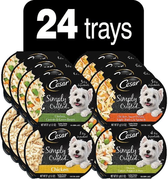 Cesar Simply Crafted Cuisine Complement Soft Wet Adult Dog Food Topper Variety Pack