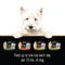 Show in main carousel: Cesar Simply Crafted Cuisine Complement Soft Wet Adult Dog Food Topper Variety Pack, 1.3-oz tubs, case of 24 slide 9 of 10
